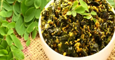 Moringa Leaves: जानिए कुकिंग में कैसे इस्तेमाल करें मोरिंगा (सहजन) के पत्ते, सेहत को मिलेंगे ढेरों फायदे