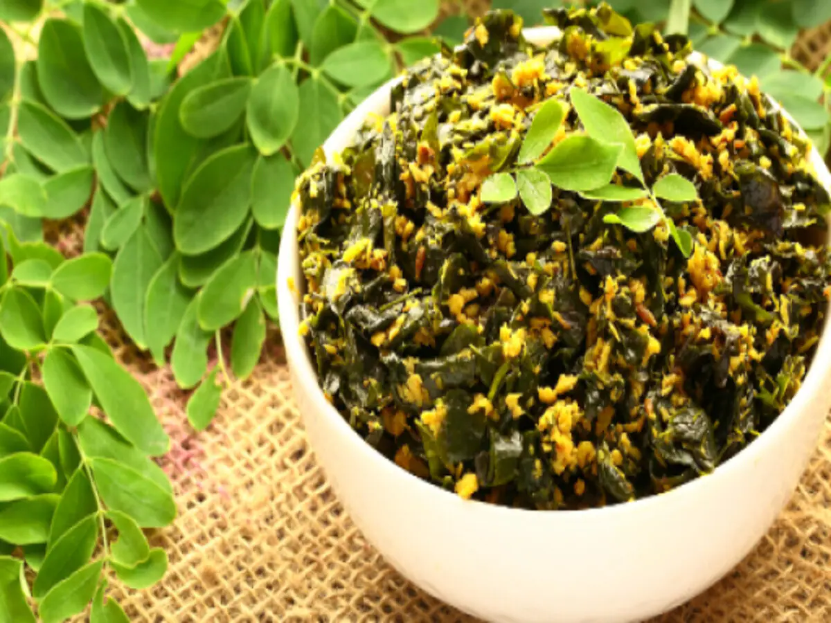 Moringa Leaves Benefits : जानिए कुकिंग में कैसे इस्तेमाल करें मोरिंगा (सहजन) के पत्ते, सेहत को मिलेंगे ढेरों फायदे