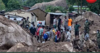Landslide wreaks havoc in Sudan's Darfur
