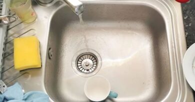 Remove Bad Smell from Kitchen Sink