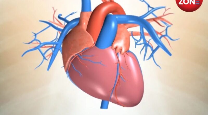 World Heart Day 2025