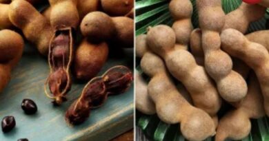 टाइप 2 डायबिटीज