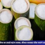 Most Expensive Salt: दुनिया का सबसे महंगा नमक, कीमत जानकर चौंक जाएंगे आप!
