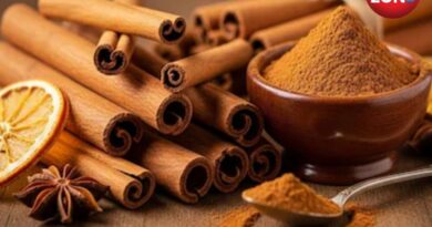 Health benefits of Dalchini in winter