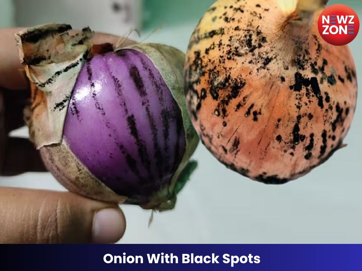 Onion With Black Spots