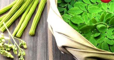Moringa Benefits for Weight Loss