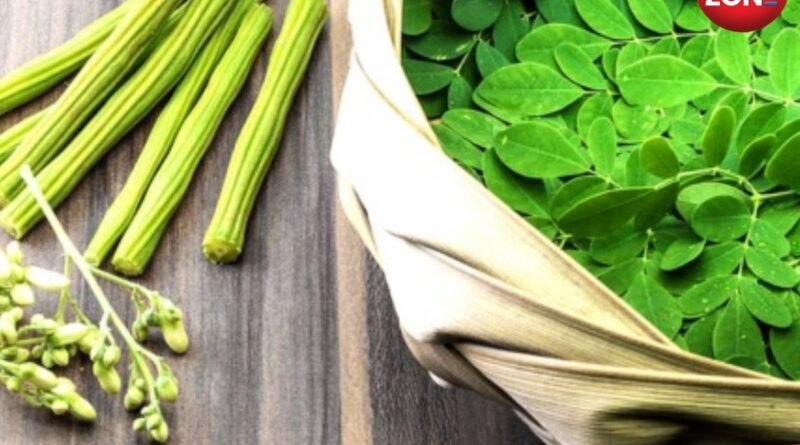 Moringa Benefits for Weight Loss