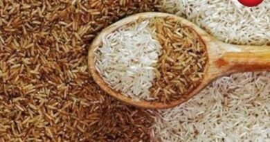 World Diabetes Day 2025