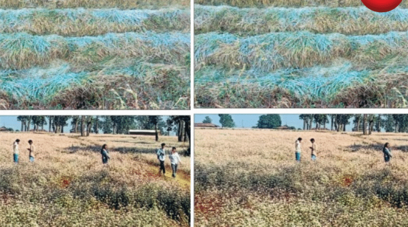 उत्तर छत्तीसगढ़ में ठंड का कहर