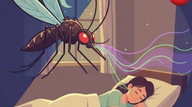 न्यायधानी बिलासपुर में मच्छरों का प्रकोप बढ़ा