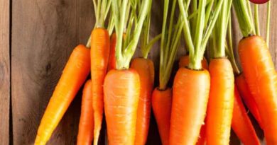 Carrot Benefits