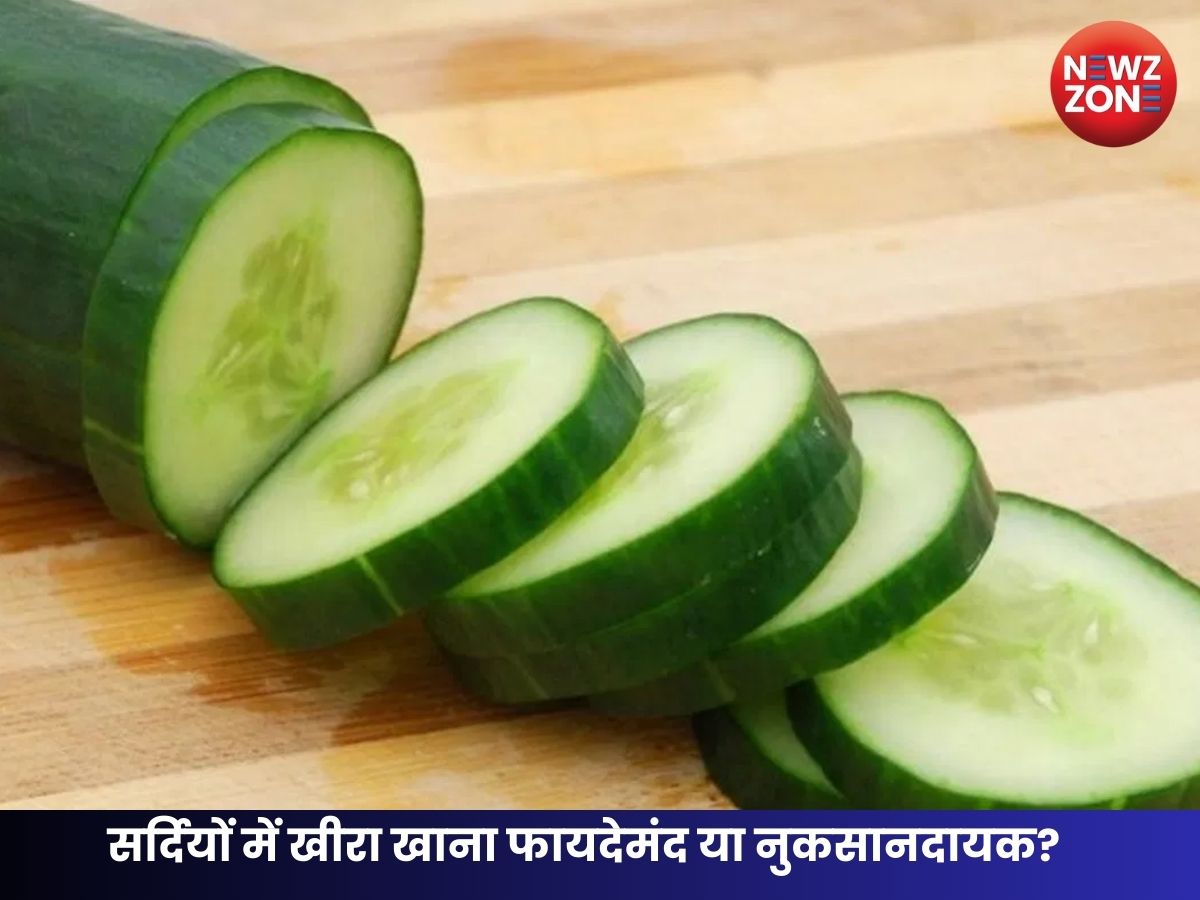 Cucumber Good or Bad in Winter