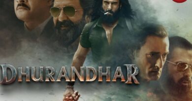 Dhurandhar Box Office Collection
