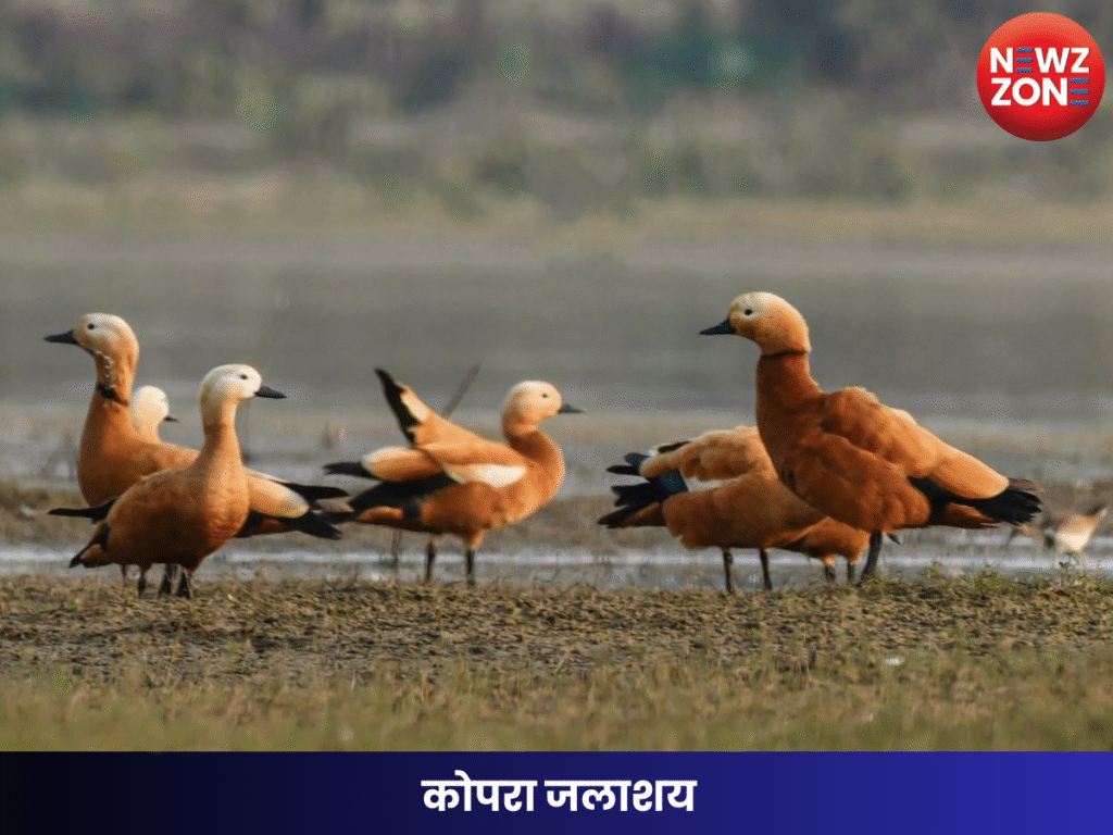 कोपरा जलाशय