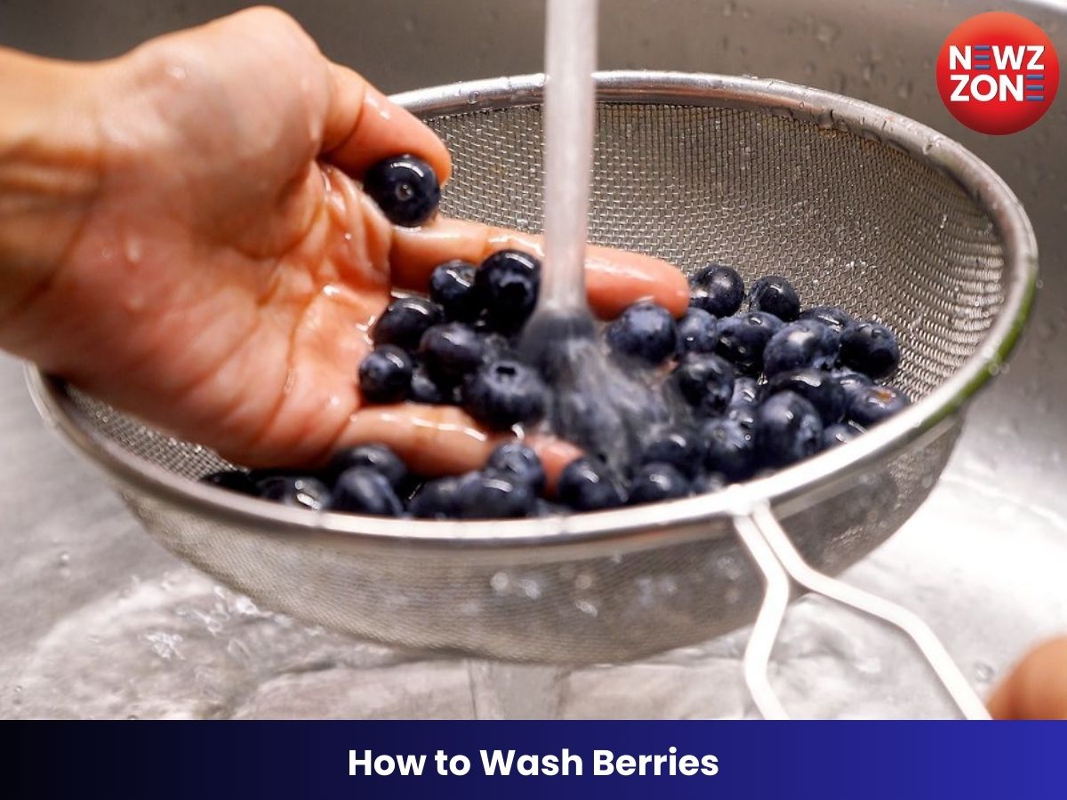 How to Wash Berries: सुपरफूड मानी जाती हैं बेरीज, लेकिन सही तरीके से साफ न कीं तो फायदे की जगह होगा नुकसान