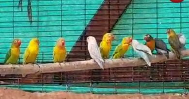 Lamni Park Jagdalpur