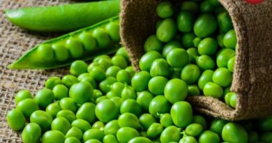 Peas Health Benefits
