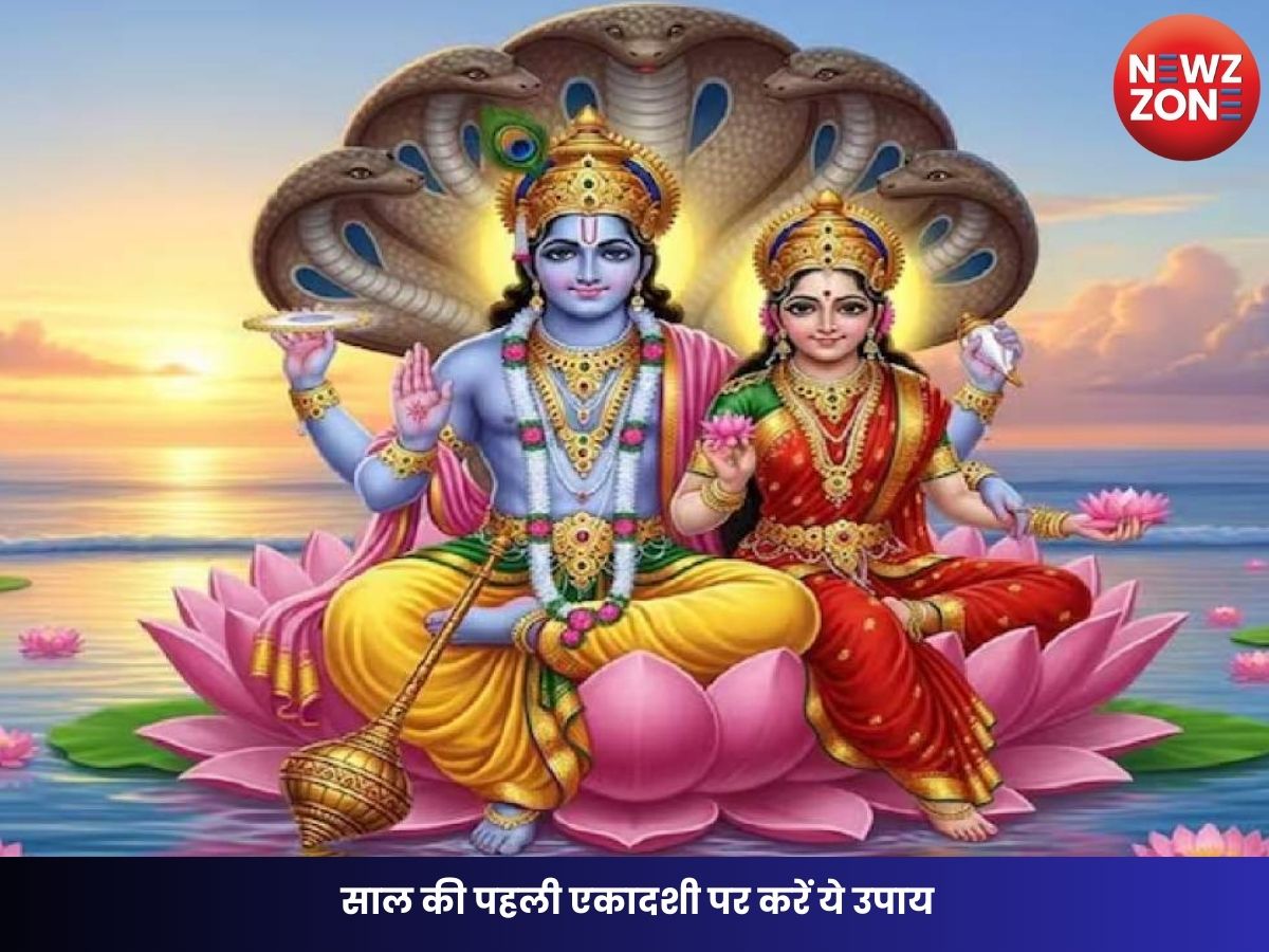 Shattila Ekadashi 2026 Upay