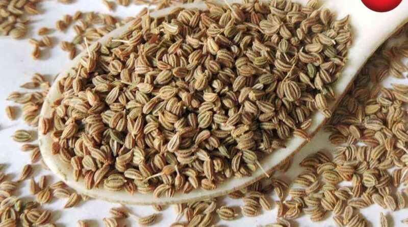 Ajwain Health Benefits