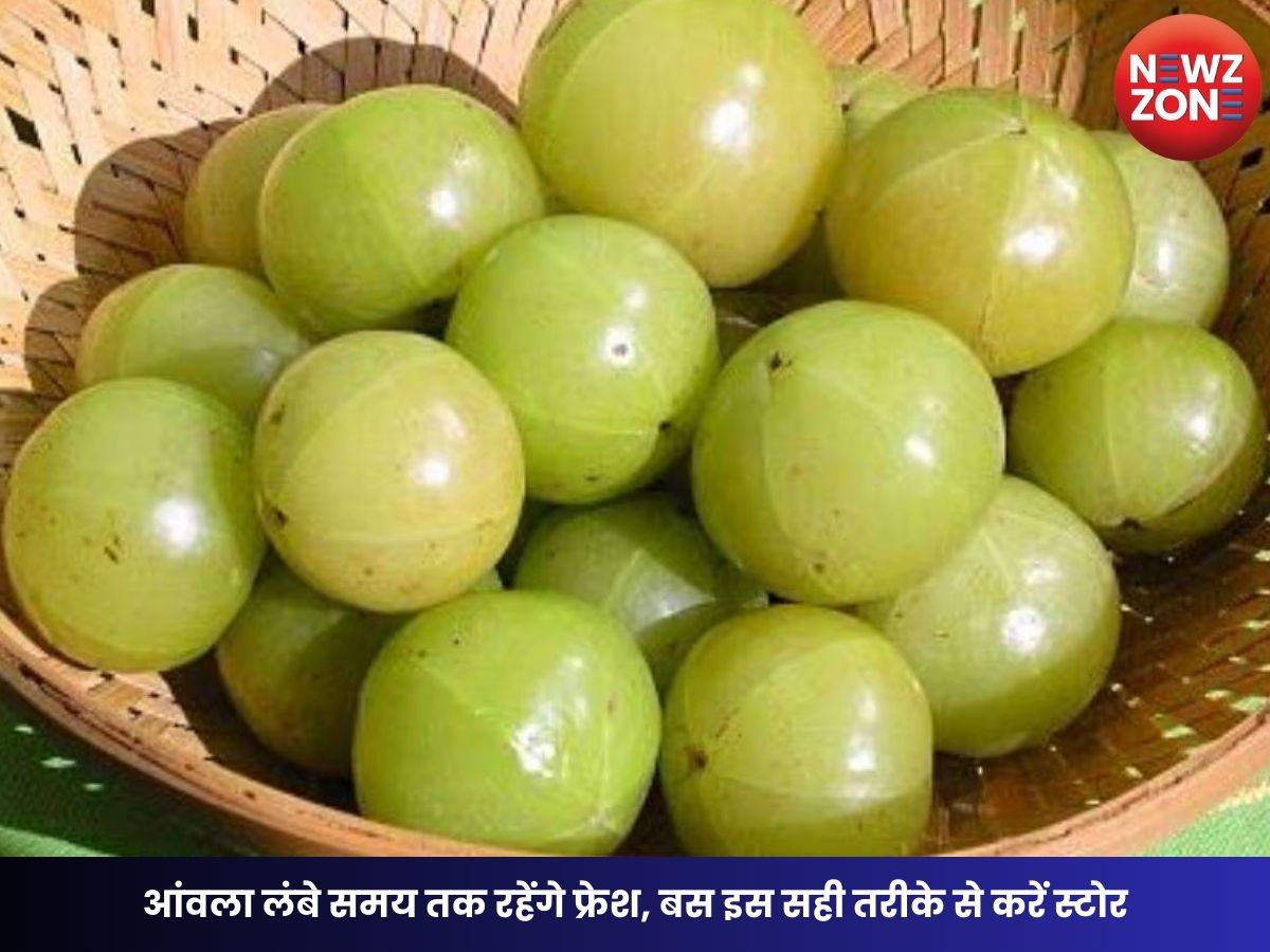 Amla Storage Tips: आंवला लंबे समय तक रहेंगे फ्रेश, बस इस सही तरीके से करें स्टोर