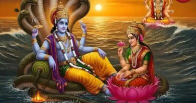 February Ekadashi Vrat 2026