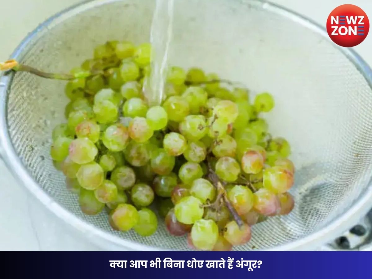 Fruit Cleaning Tips: क्या आप भी बिना धोए खाते हैं अंगूर? जानिए कितना नुकसानदायक हो सकता है यह तरीका