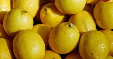 Lemon Juice Storage Tips