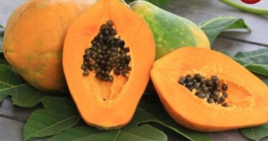 Papaya Benefits