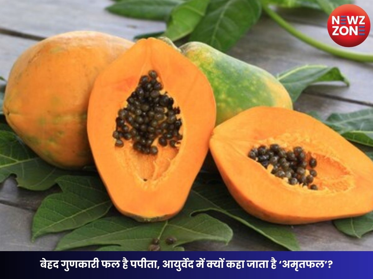 Papaya Benefits: बेहद गुणकारी फल है पपीता, आयुर्वेद में क्यों कहा जाता है ‘अमृतफल’?