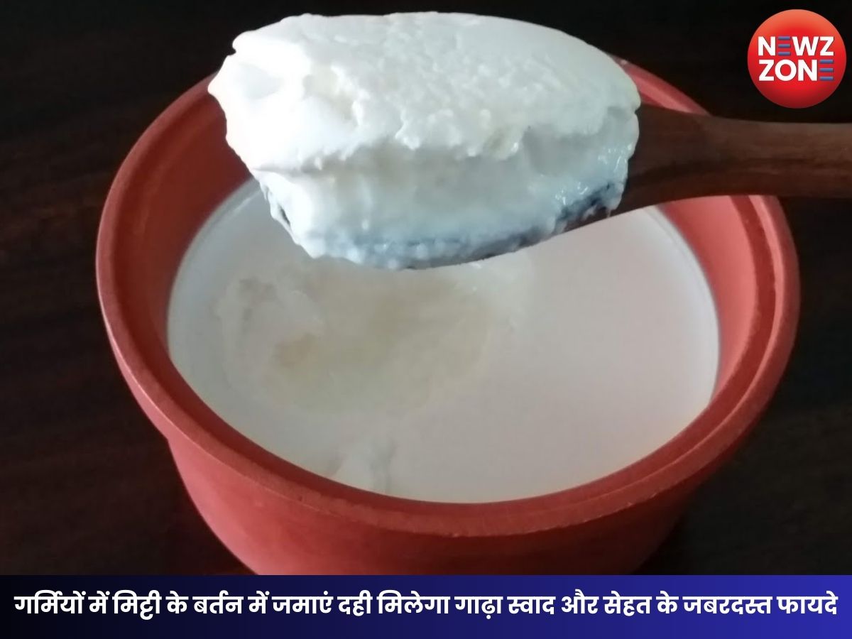 Curd Making Tips: गर्मियों में मिट्टी के बर्तन में जमाएं दही मिलेगा गाढ़ा स्वाद और सेहत के जबरदस्त फायदे