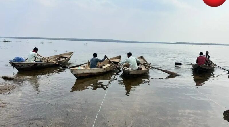 Mahanadi River Boat Championship