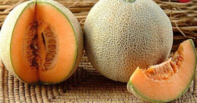 Muskmelon benefits