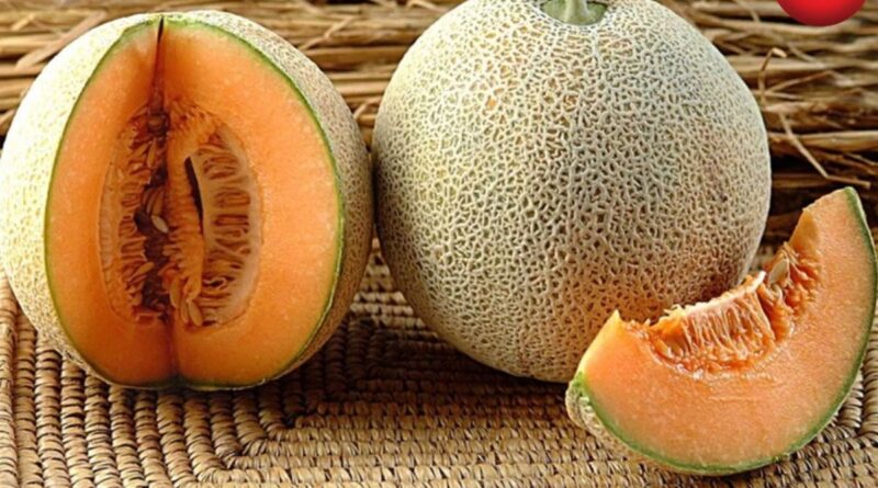 Muskmelon benefits