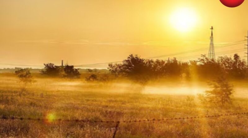 CG Weather Update 11 April 2026