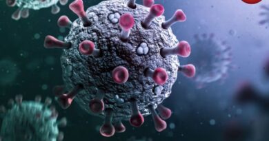 Covid 19 New Variant Cicada