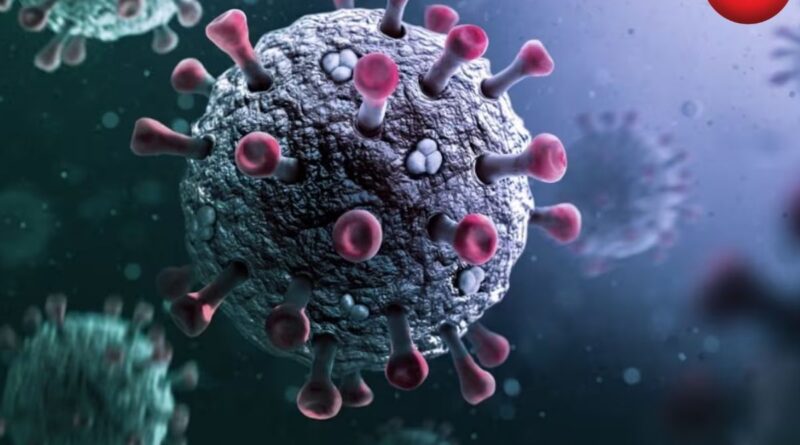 Covid 19 New Variant Cicada