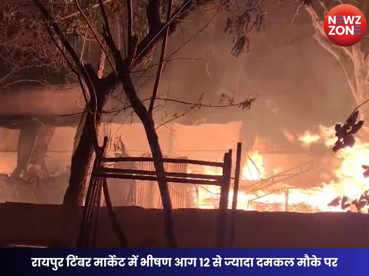 Chhattisgarh News: रायपुर टिंबर मार्केट में भीषण आग 12 से ज्यादा दमकल मौके पर, रातभर चला राहत कार्य