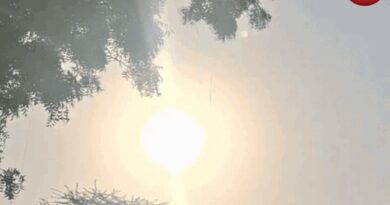 CG Weather Today 12 May 2026
