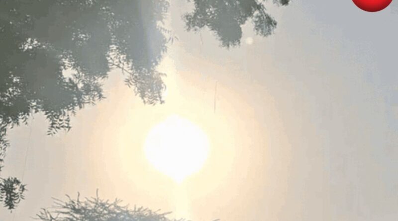 CG Weather Today 12 May 2026