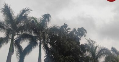 CG Weather Update 11 May 2026