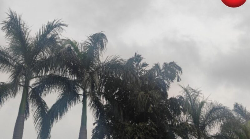 CG Weather Update 11 May 2026