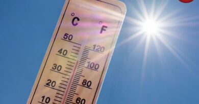 CG Weather Update 19 May 2026