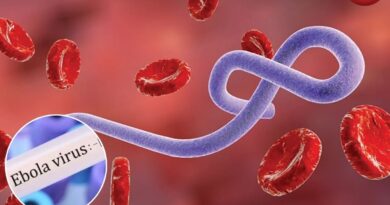 Ebola Virus Alert