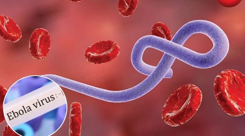 Ebola Virus Alert