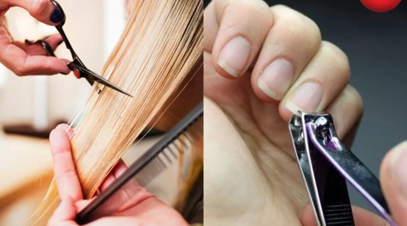 Hair Cutting Rules