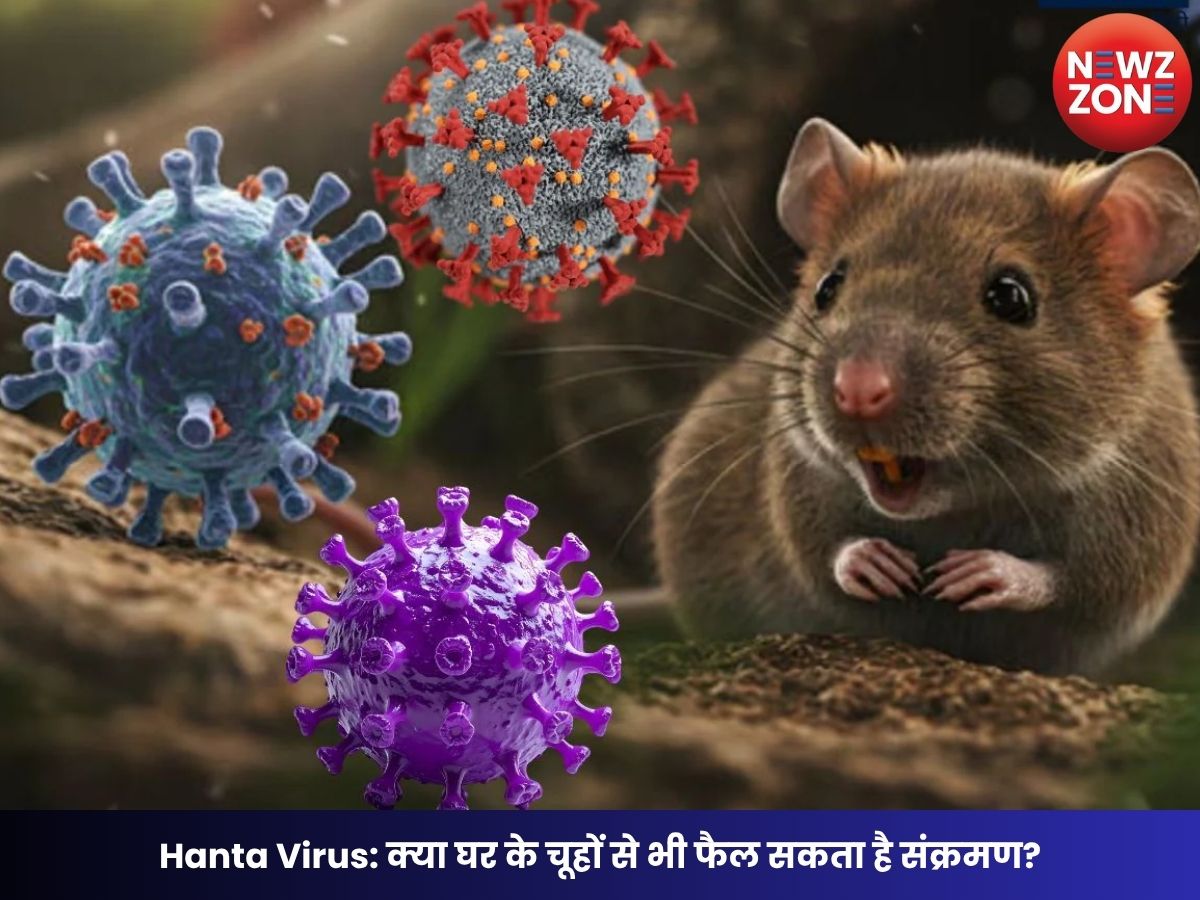 Hanta Virus: क्या घर के चूहों से भी फैल सकता है संक्रमण? जानिए कितना है असली खतरा