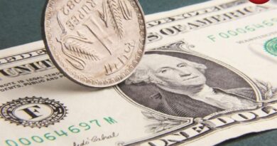 Indian Rupee Falls