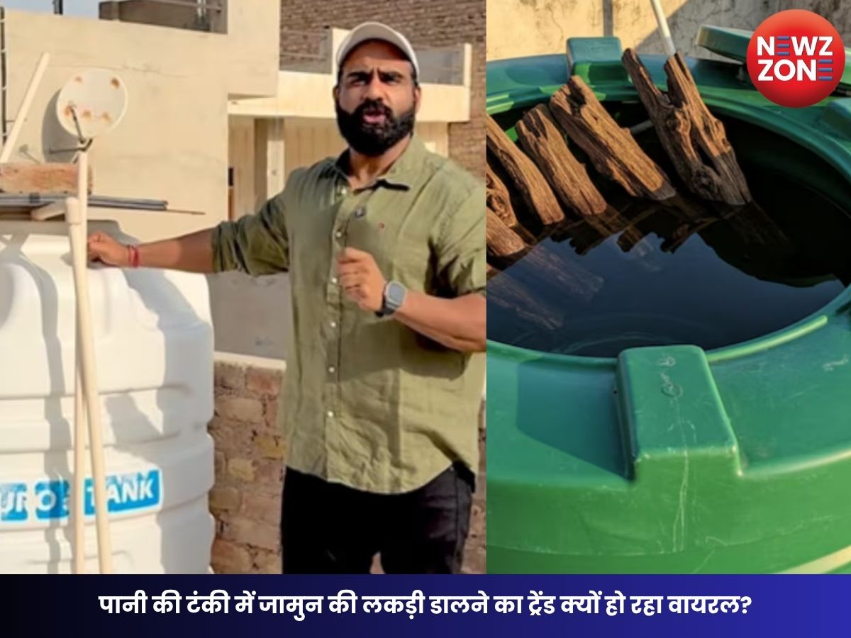 Jamun Wood in Water Tank: पानी की टंकी में जामुन की लकड़ी डालने का ट्रेंड क्यों हो रहा वायरल? जानें दावा कितना सही