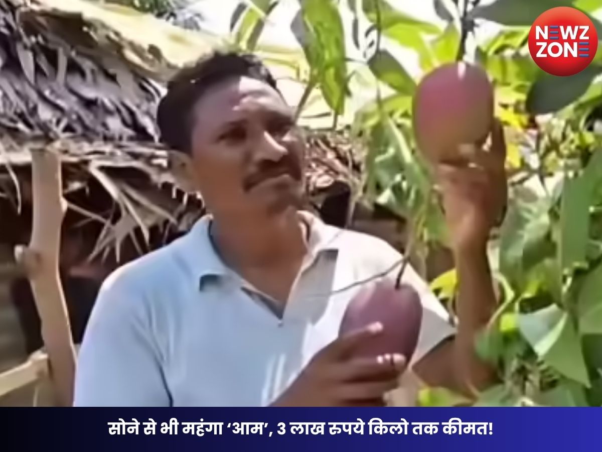 Mango Farming: सोने से भी महंगा ‘आम’, 3 लाख रुपये किलो तक कीमत! ओडिशा के किसान की अनोखी खेती देखने उमड़ रही भीड़