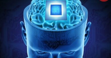 Brain Chip